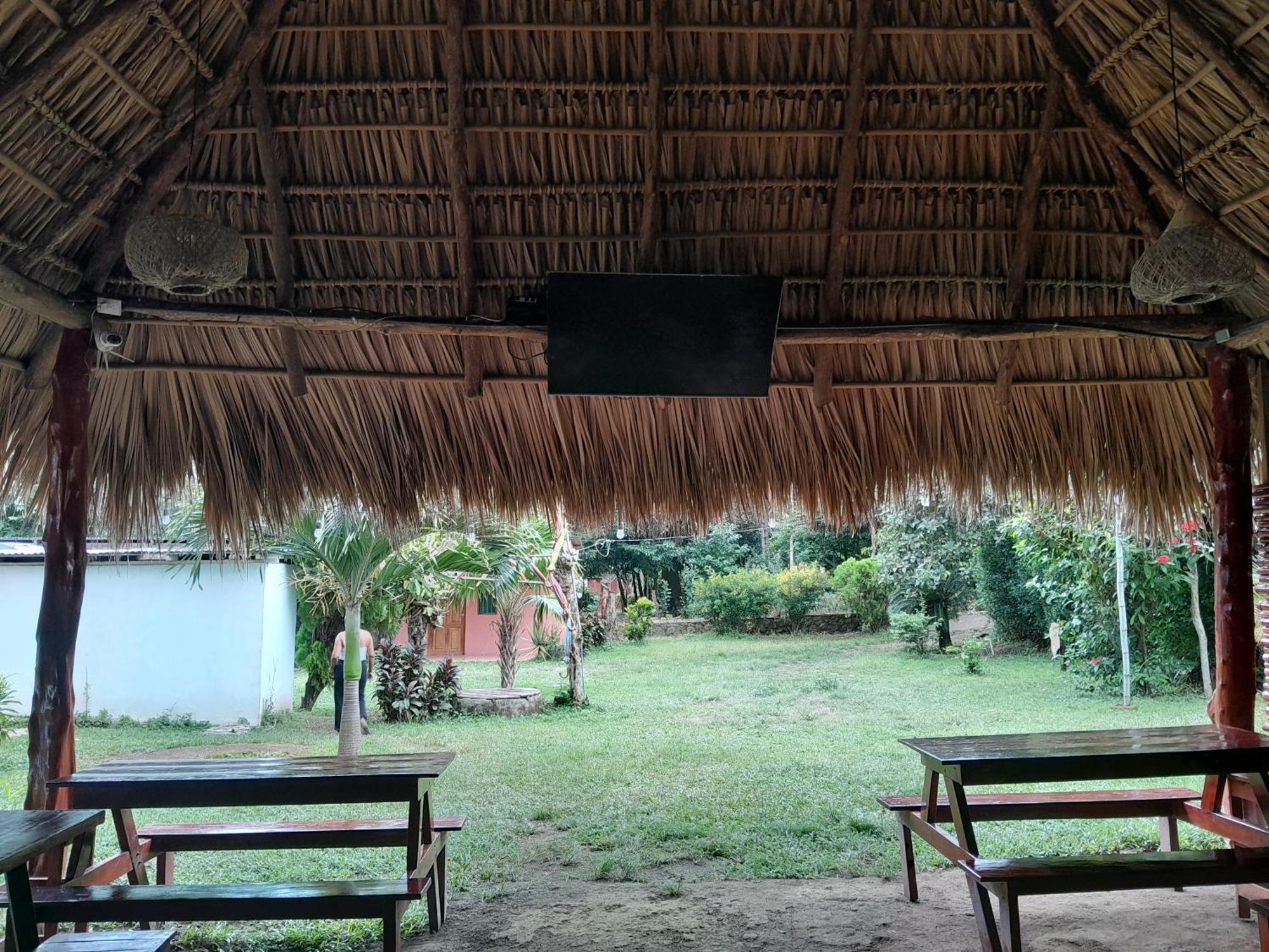Hostel Los Chocoyos Mérida 外观 照片