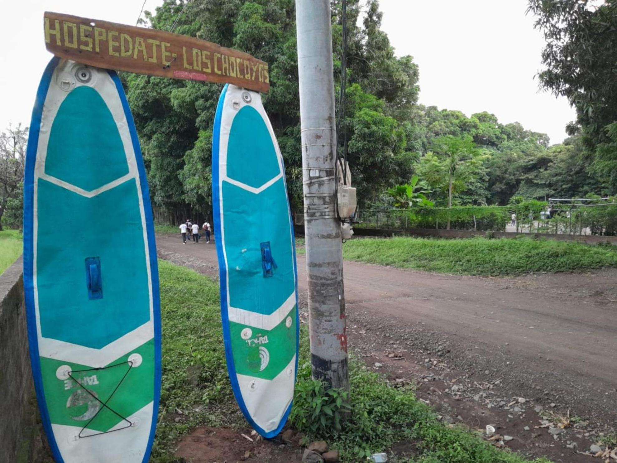 Hostel Los Chocoyos Mérida 外观 照片