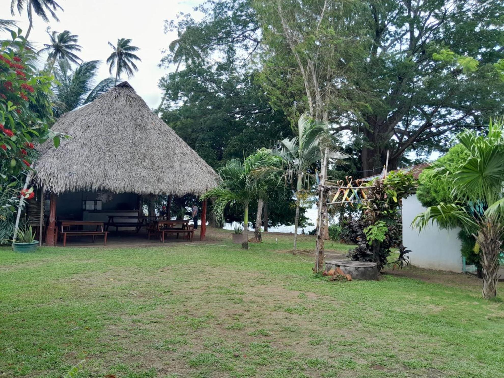 Hostel Los Chocoyos Mérida 外观 照片