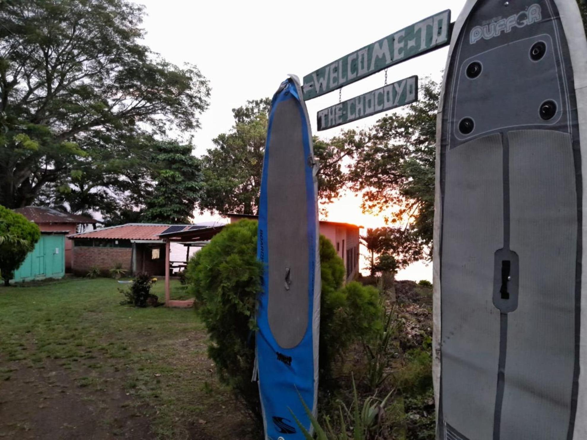 Hostel Los Chocoyos Mérida 外观 照片