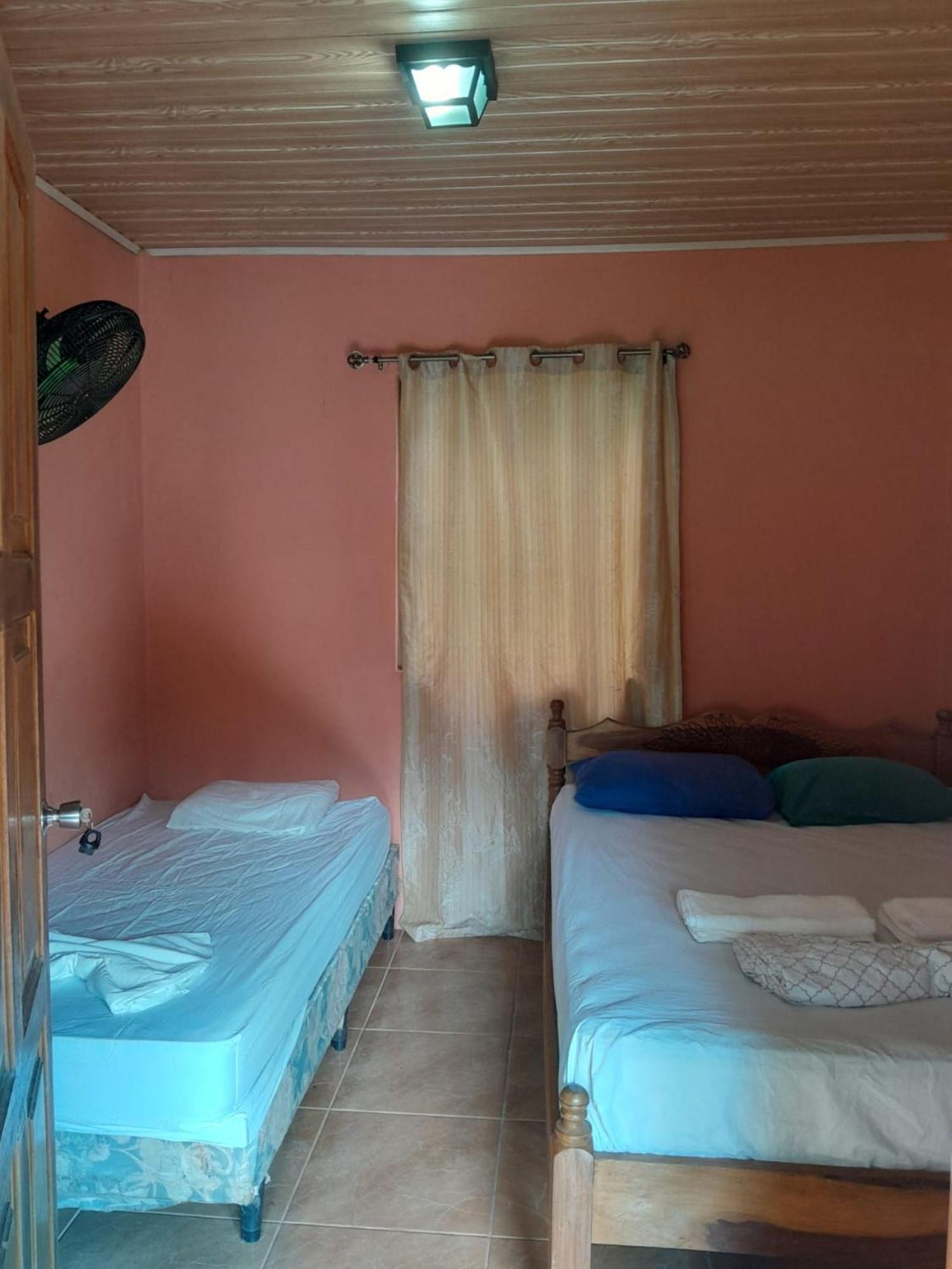 Hostel Los Chocoyos Mérida 外观 照片
