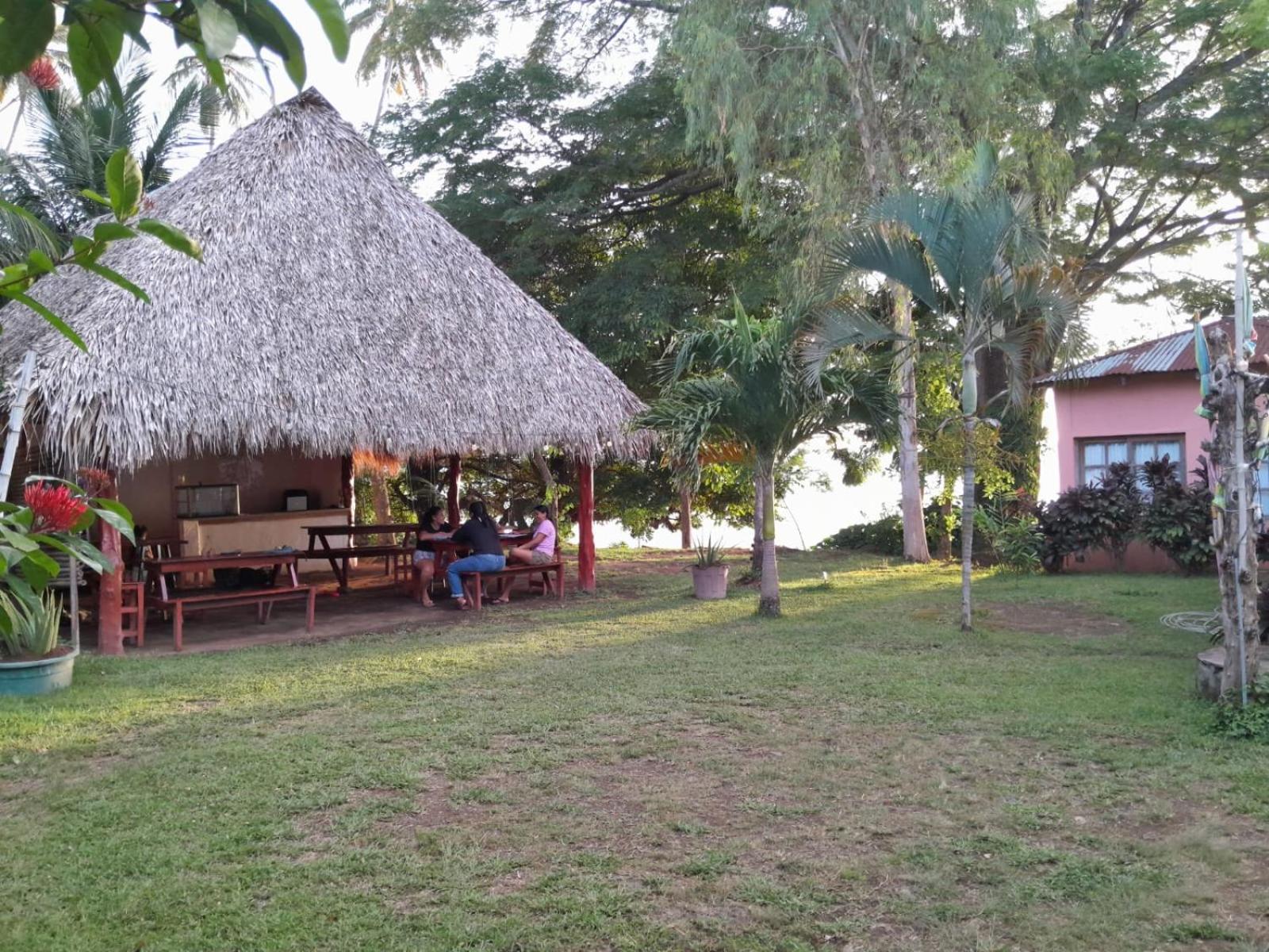Hostel Los Chocoyos Mérida 外观 照片