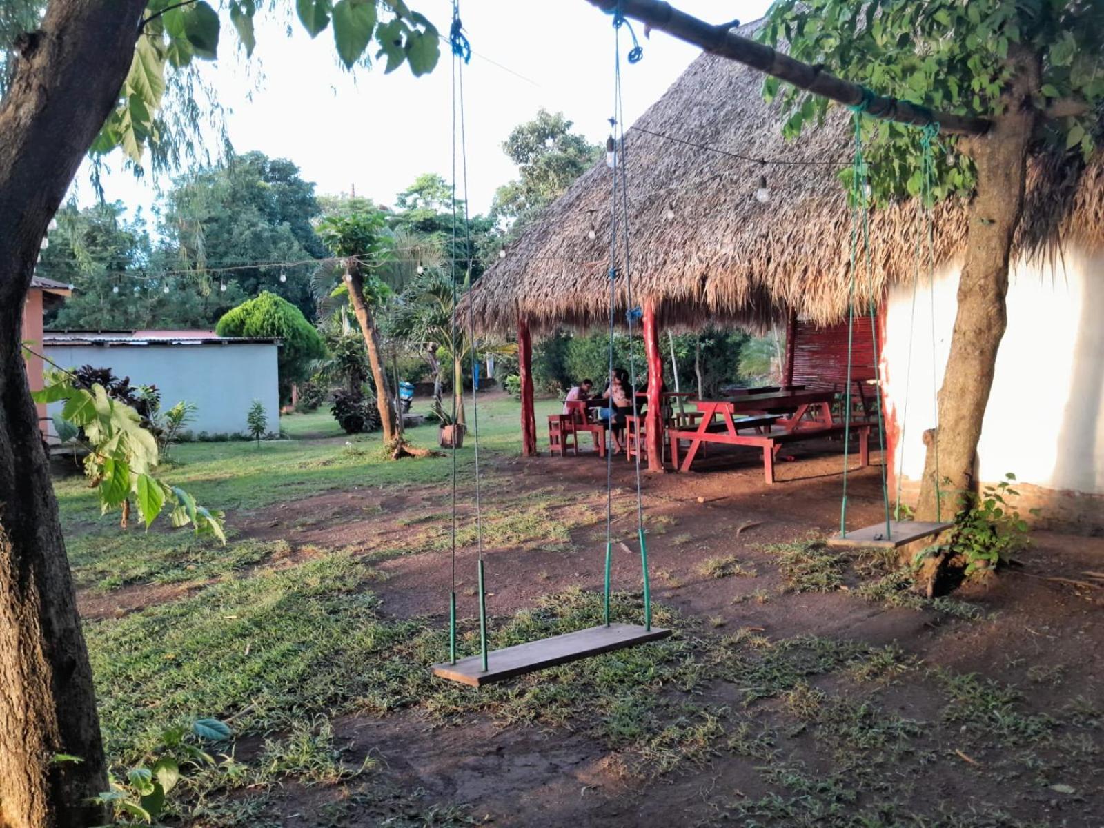Hostel Los Chocoyos Mérida 外观 照片