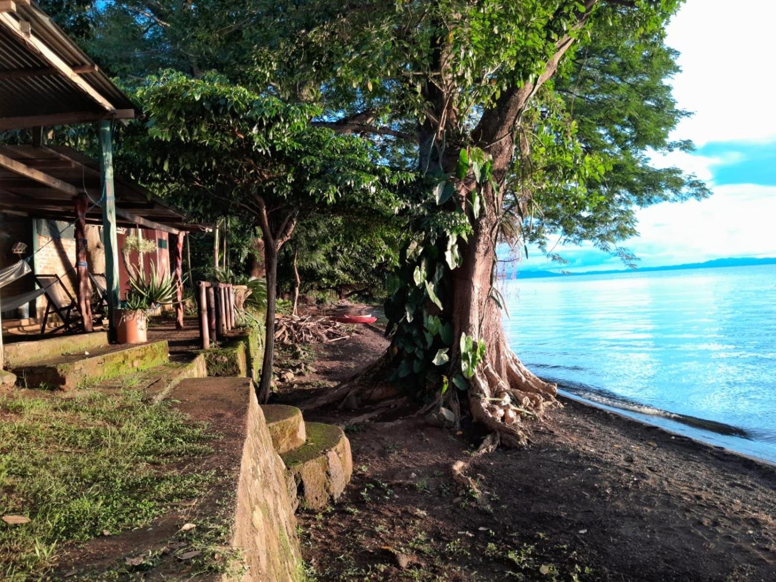 Hostel Los Chocoyos Mérida 外观 照片