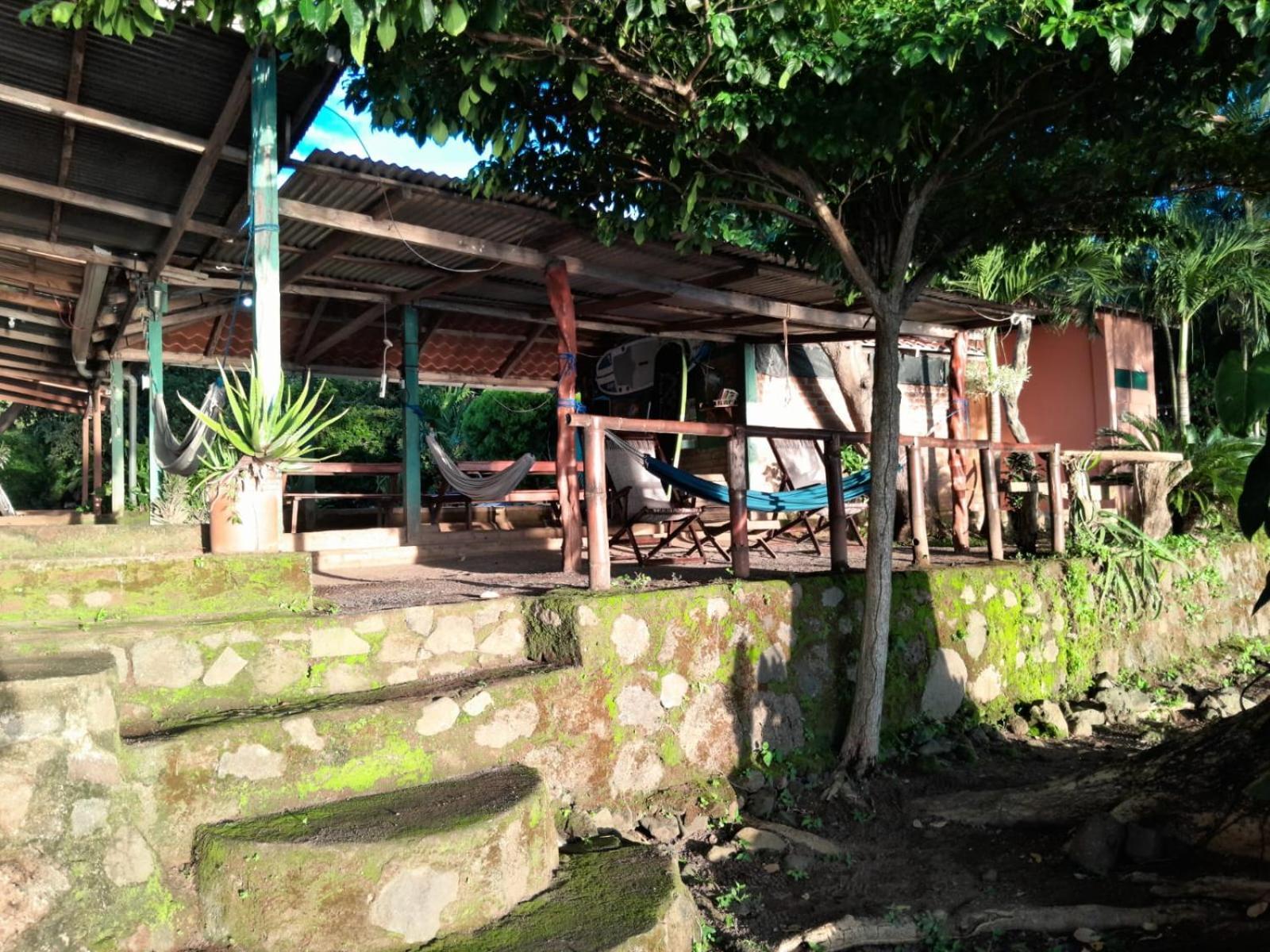 Hostel Los Chocoyos Mérida 外观 照片