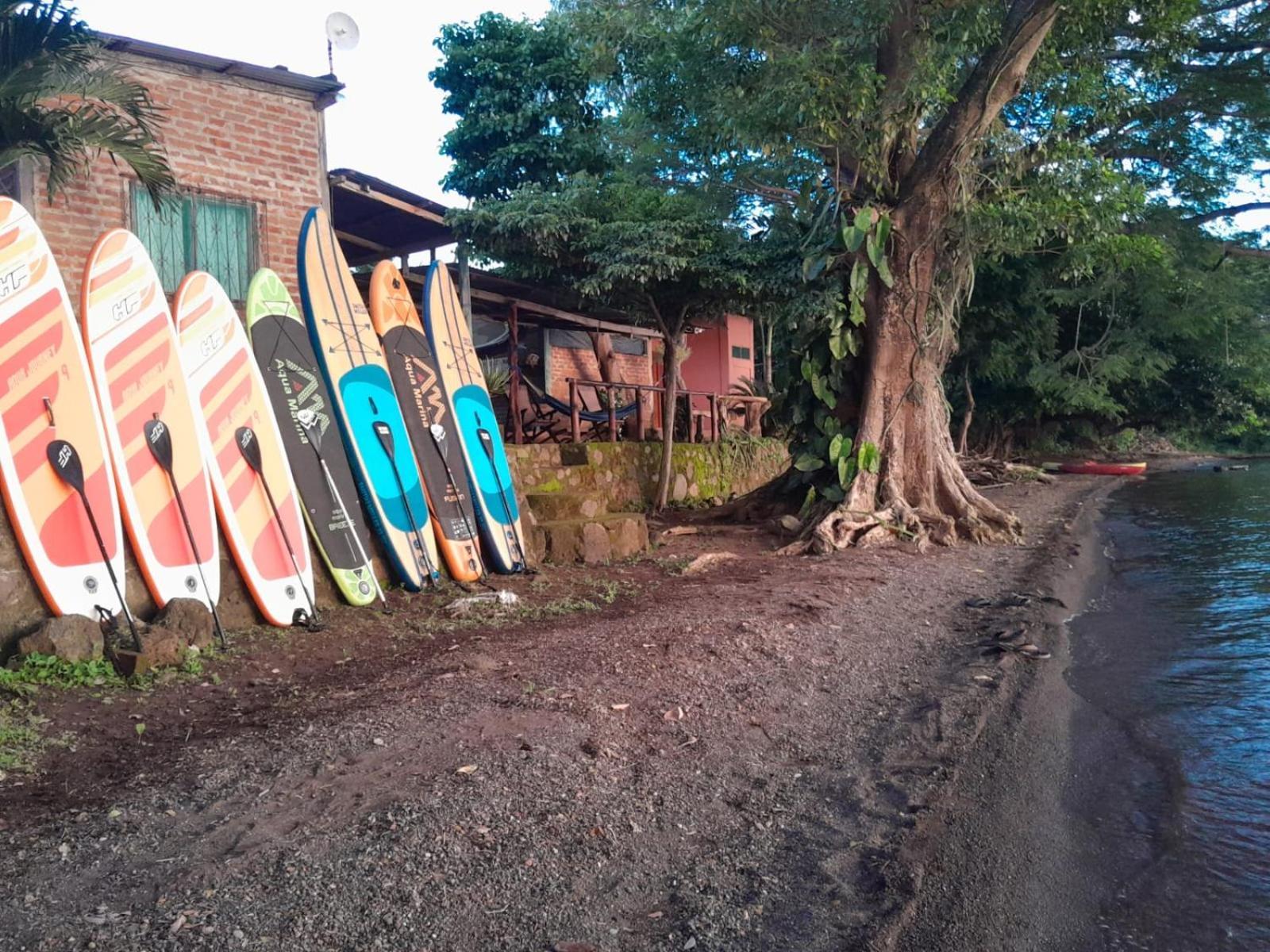 Hostel Los Chocoyos Mérida 外观 照片