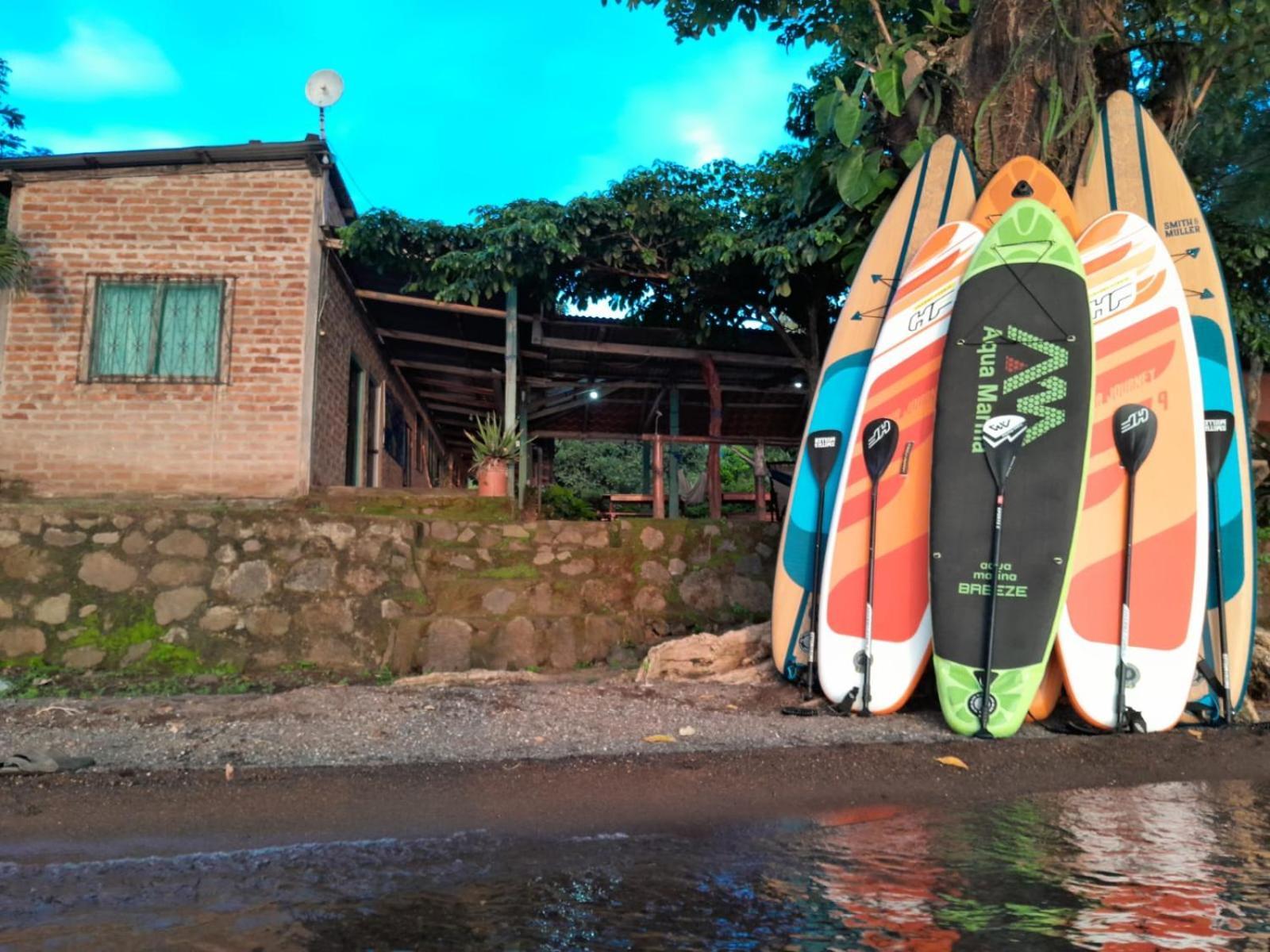 Hostel Los Chocoyos Mérida 外观 照片