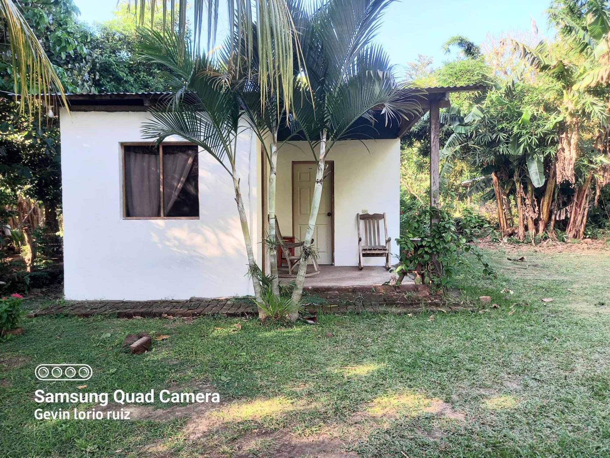 Hostel Los Chocoyos Mérida 外观 照片