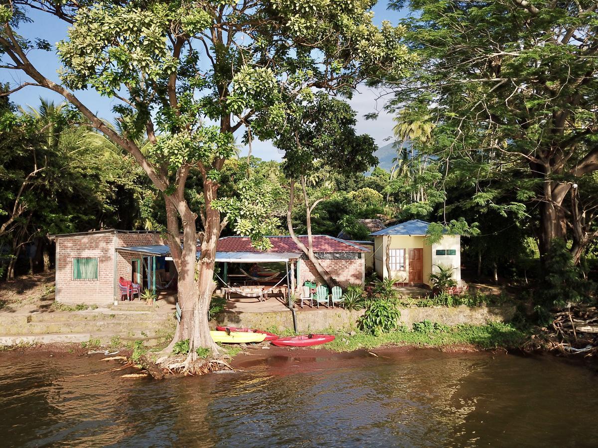 Hostel Los Chocoyos Mérida 外观 照片